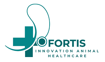 Fortis Inovasyon