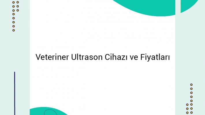 Veteriner Ultrason Cihazı ve Fiyatları: Fortis İnovasyon ile Güvenilir Çözümler